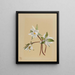 Ninfee Castalia profumate - Mary Vaux Walcott — quadro incorniciato alla parete