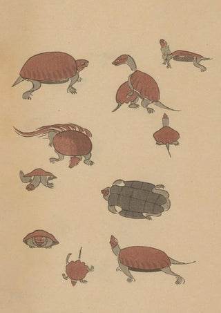 Masayoshi Kitao - Choju ryakugashiki Pl39.webp