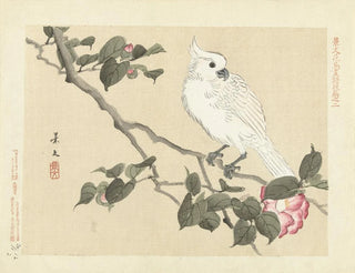 Matsumura Keibun - Camellia and yellowcrested cockatoo.webp