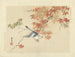 di Sturnello dalle guance castagna - Matsumura Keibun | Reproduction — vista dell’opera