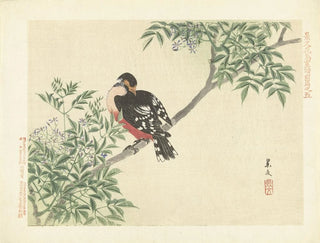 Matsumura Keibun - Chinaberry and whitebacked woodpecker.webp