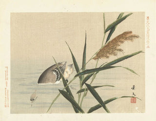 Matsumura Keibun - Common reed and little grebe.webp
