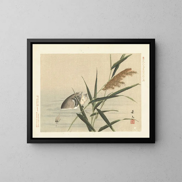Rosenrohr und Brautente - Matsumura Keibun — gerahmtes Bild an der Wand