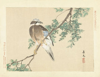 Ghiandaia dell'Eurasia - Matsumura Keibun — vista dell’opera