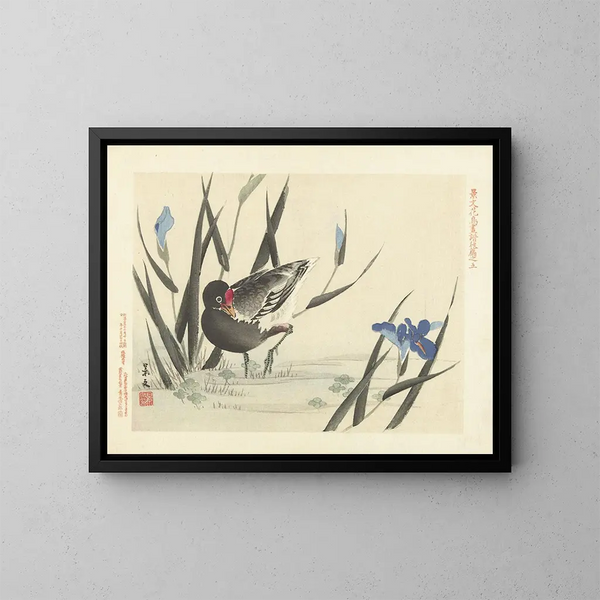 Japanisches Iris und Stockente - Matsumura Keibun — gerahmtes Bild an der Wand