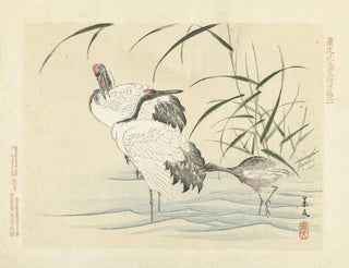 Matsumura Keibun - Redcrowned crane.webp