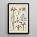 Iris - Maurice Pillard Verneuil — quadro incorniciato alla parete