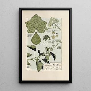 Maurice Pillard Verneuil - Lierre.webp