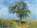 Obsternte im Pfälzerwald Der Birnbaum - Max Slevogt — Ansicht des Kunstwerks