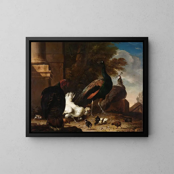 Una gallina con pavoni e un tacchino - Melchior d'Hondecoeter — quadro incorniciato alla parete