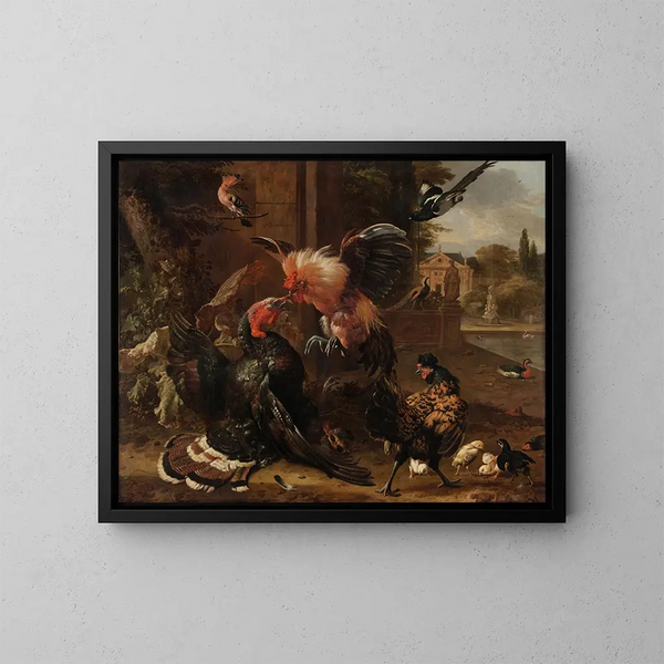 Un gallo e un tacchino che si combattono - Melchior d'Hondecoeter — quadro incorniciato alla parete