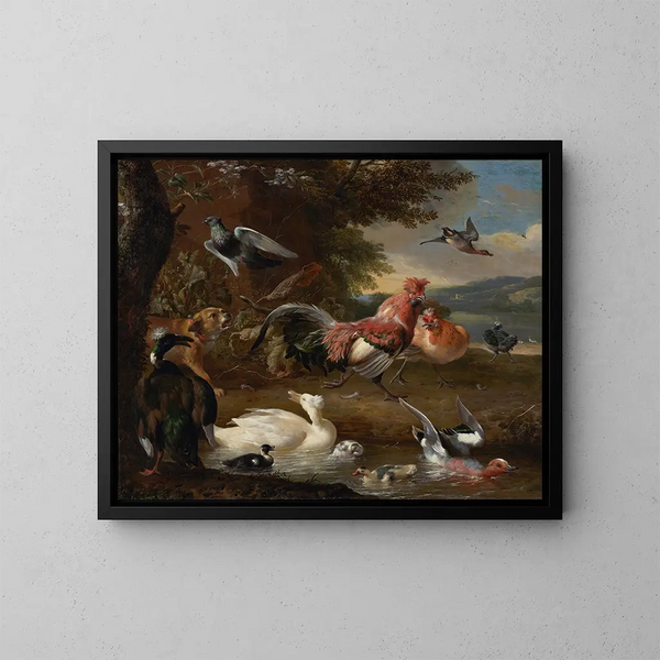 Polli e anatre - Melchior d'Hondecoeter — quadro incorniciato alla parete