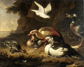 Anatre - Melchior d'Hondecoeter — vista dell’opera