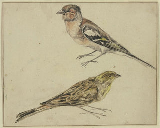 Melchior dHondecoeter - Ein Distelfink und ein Hnfling.webp