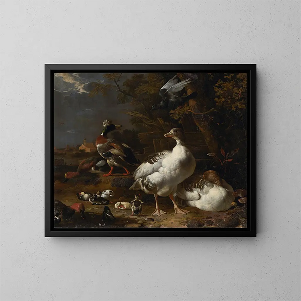 Oche e anatre - Melchior d'Hondecoeter — quadro incorniciato alla parete