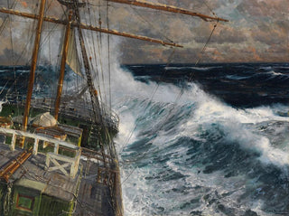 Michael Zeno Diemer - Auf hoher See.webp