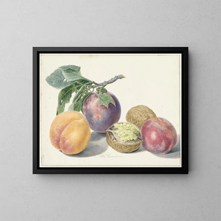 Michiel van Huysum - Stilleven met vruchten.webp