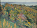 Studio paesaggio - Mikhail Nesterov — vista dell’opera