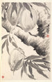 Pfirsiche - Min Zhen — Ansicht des Kunstwerks