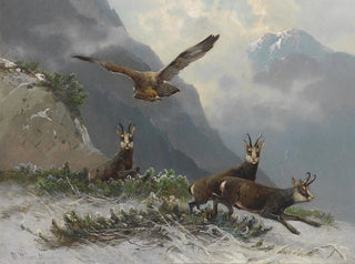 Moritz Mller - Gemsen im Hochgebirge.webp
