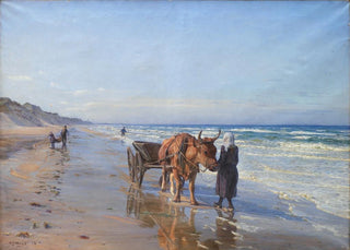 NP Mols - The Coastal Inhabitants Set Sail In The Landing.webp