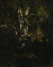 Alte Buchenstämme - Narcisse Virgile Diaz de la Peña — Ansicht des Kunstwerks