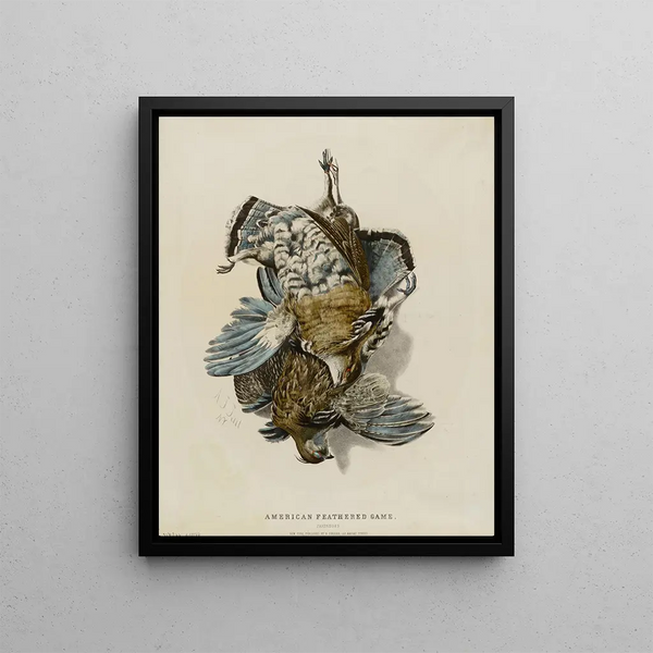 Nathaniel Currier - American Feathered GamePartridges.webp