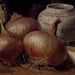 Nature morte avec des oignons - Eugène Jansson — artwork view