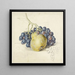 Nature morte con uva e una pera - Georgius Jacobus Johannes van Os — quadro incorniciato alla parete