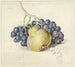 Nature morte con uva e una pera - Georgius Jacobus Johannes van Os — vista dell’opera