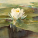 Nénuphar au soleil - John La Farge — vista dell’opera