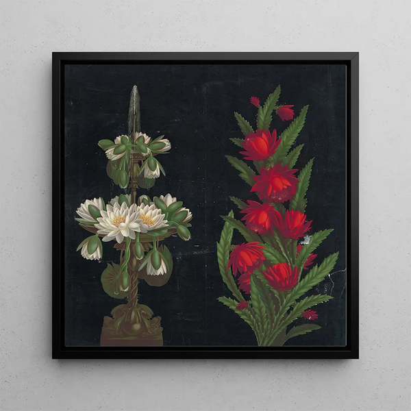 Nénuphars blancs dans une fontaine à deux niveaux et fleurs rouges aux feuilles pointues sur fond noir - Anonymous