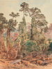 Tramway de brousse sans titre Pigeons Bush - Nicholas Chevalier — Ansicht des Kunstwerks