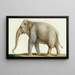 Ein indischer Elefant - Nicolas Huet le Jeune — gerahmtes Bild an der Wand