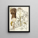 Crambe tartaria - Nikolaus Joseph Freiherr von Jacquin — gerahmtes Bild an der Wand