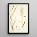 Elymus hystrix - Nikolaus Joseph Freiherr von Jacquin — quadro incorniciato alla parete