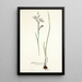 Gladiolus punctatus - Nikolaus Joseph Freiherr von Jacquin — quadro incorniciato alla parete