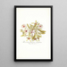 Mesembryanthemum cuneifolium - Nikolaus Joseph Freiherr von Jacquin — gerahmtes Bild an der Wand