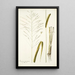 Panicum maximum - Nikolaus Joseph Freiherr von Jacquin — gerahmtes Bild an der Wand