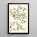 Pelargonium caucalifolium - Nikolaus Joseph Freiherr von Jacquin — quadro incorniciato alla parete
