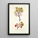 Ribes petraeum - Nikolaus Joseph Freiherr von Jacquin — gerahmtes Bild an der Wand