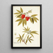 Sambucus racemosa - Nikolaus Joseph Freiherr von Jacquin — gerahmtes Bild an der Wand