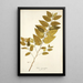 Sida carpinifolia - Nikolaus Joseph Freiherr von Jacquin — gerahmtes Bild an der Wand