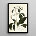 Solanum lanceaefolium - Nikolaus Joseph Freiherr von Jacquin — quadro incorniciato alla parete
