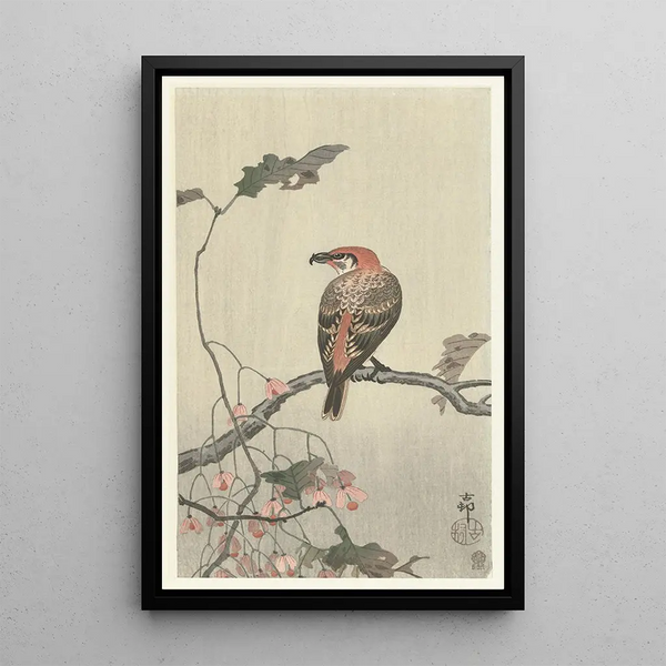 Ohara Koson - Crossbill on tree branch.webp