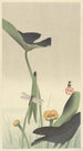 Dragonfly and Lotus - Ohara Koson — artwork view