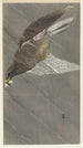 Aigle en vol - Ohara Koson — vista dell’opera