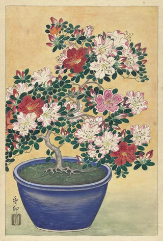 Ohara Koson - Flowering Azalea In Blue Pot.webp