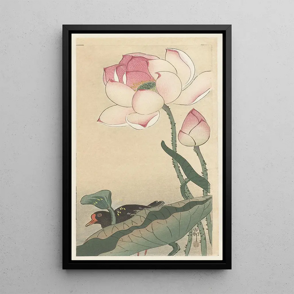 Ohara Koson - Gallinule with Lotus Flowers.webp