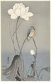 Martin-pêcheur with lotus flower - Ohara Koson — artwork view
